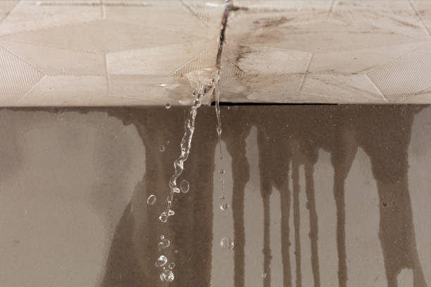 Professional Sewage Cleanup technician working in Waldron, WA